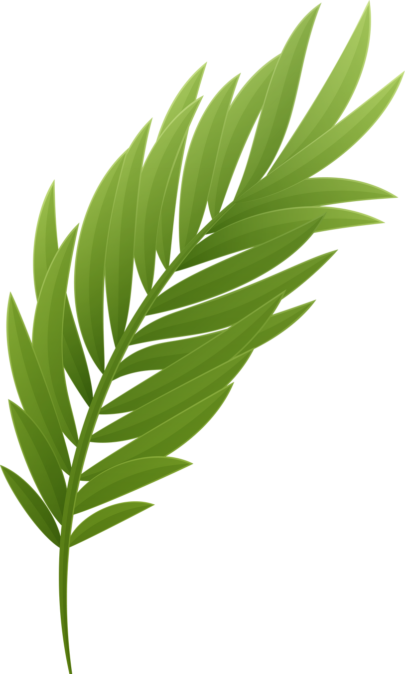 Leaf Tropic Summer