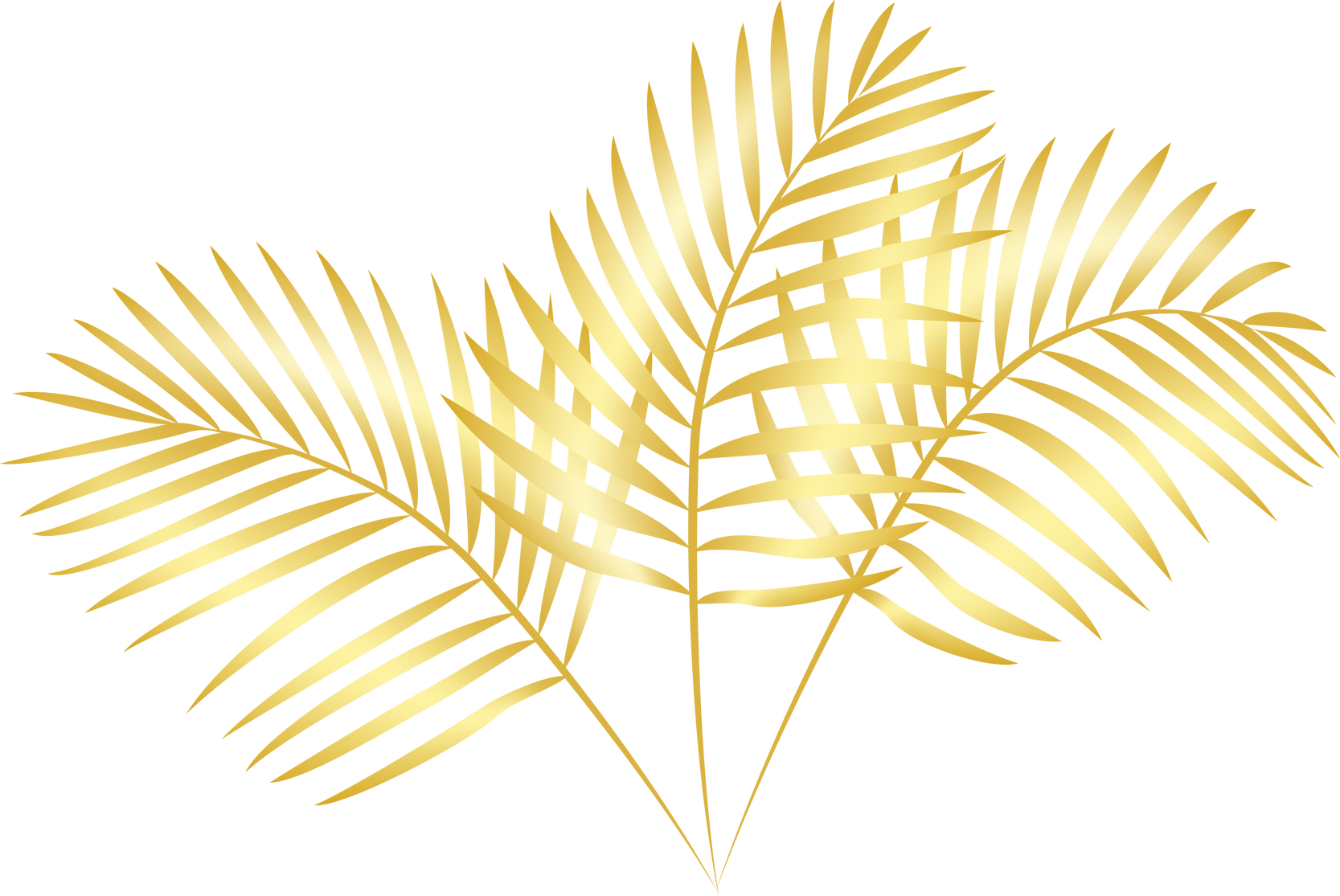 Golden tropical palm leaf.