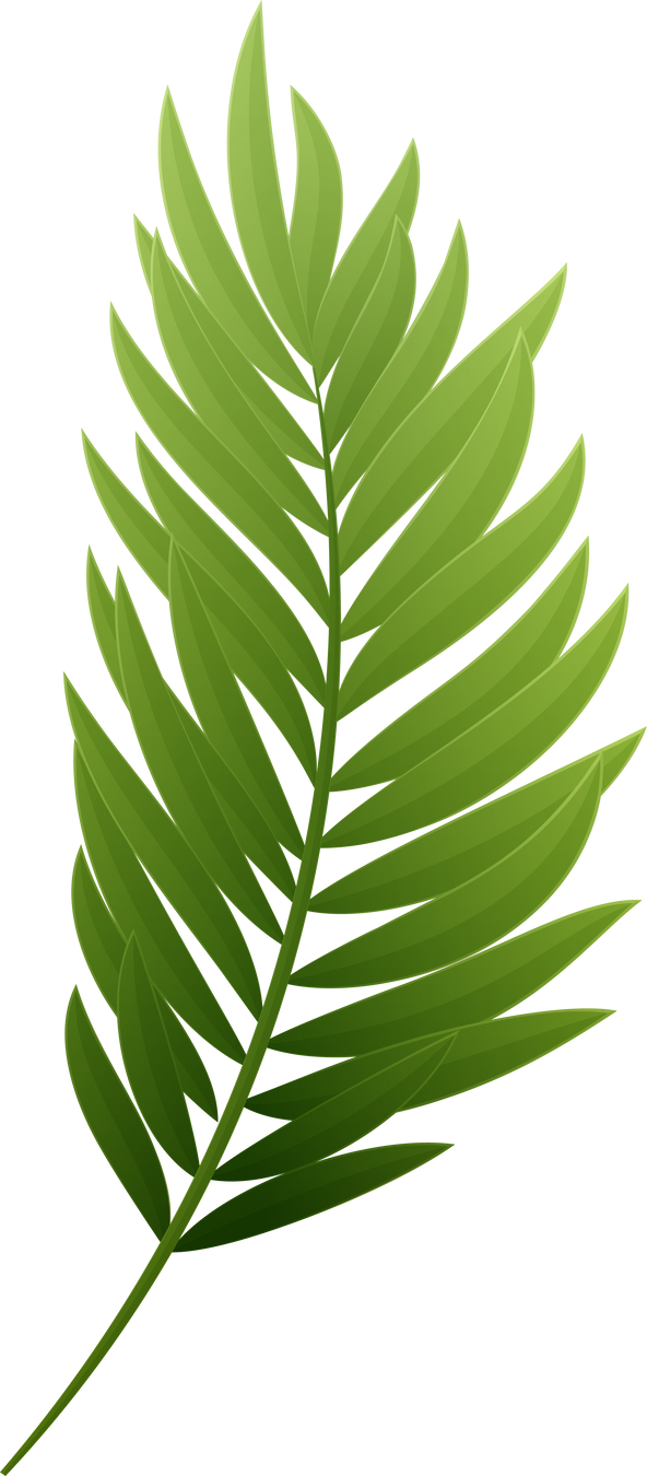 Summer Leaf