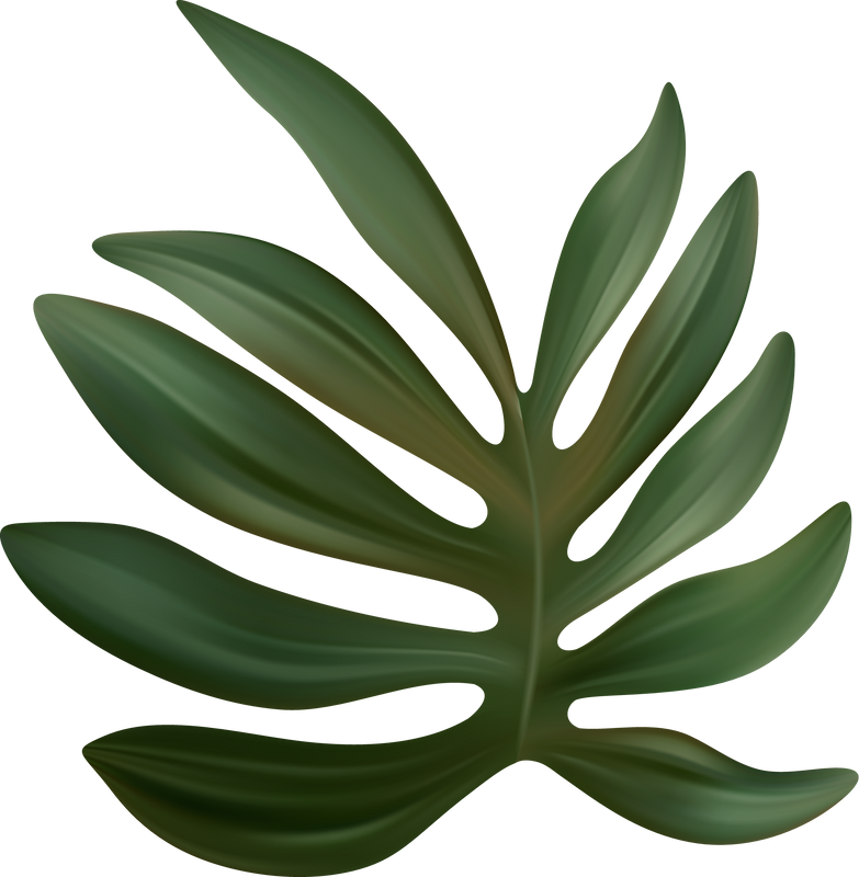 Tropic Leaf Monstera